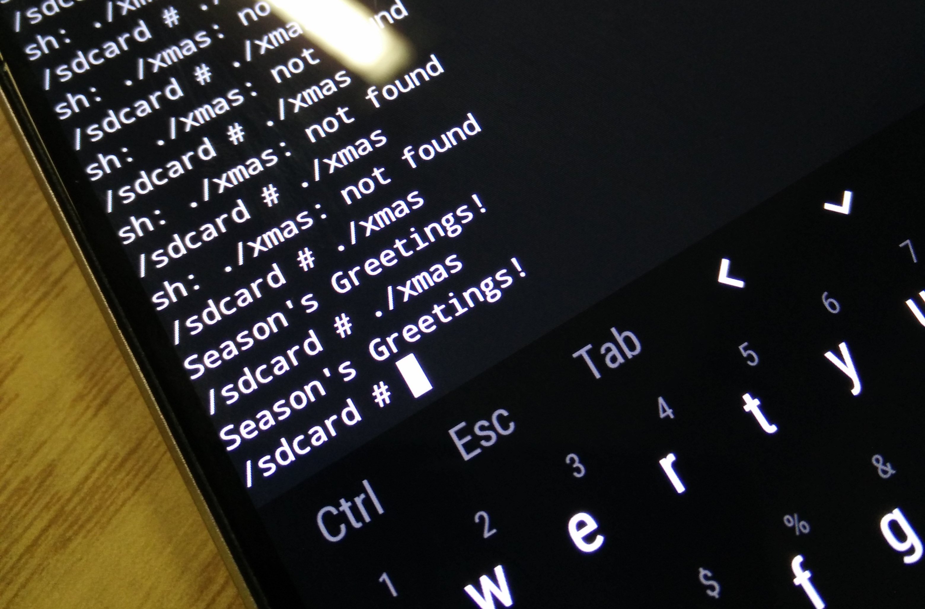 Season's Greetings binary output